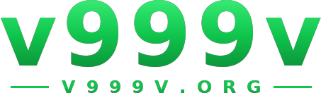 v999v logo